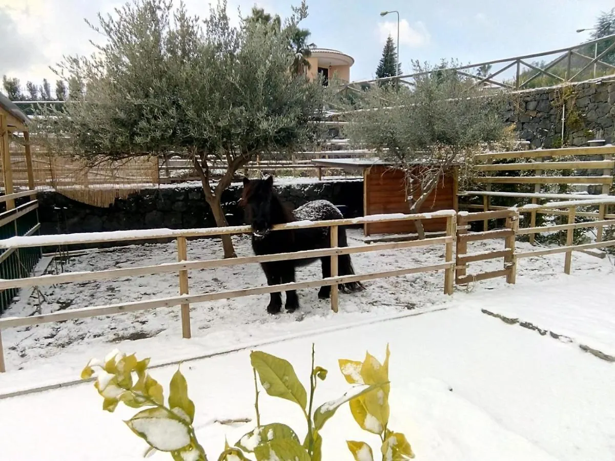 Bed & Breakfast Bed and Breakfast Aurora dell'Etna Zafferana Etnea